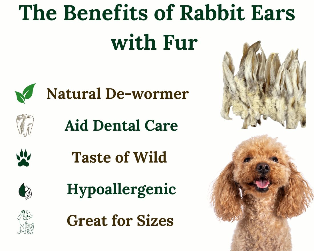 🐇 The Benefits of Rabbit Ears with Fur — Nature’s Toothbrush and De-Wormer for Dogs