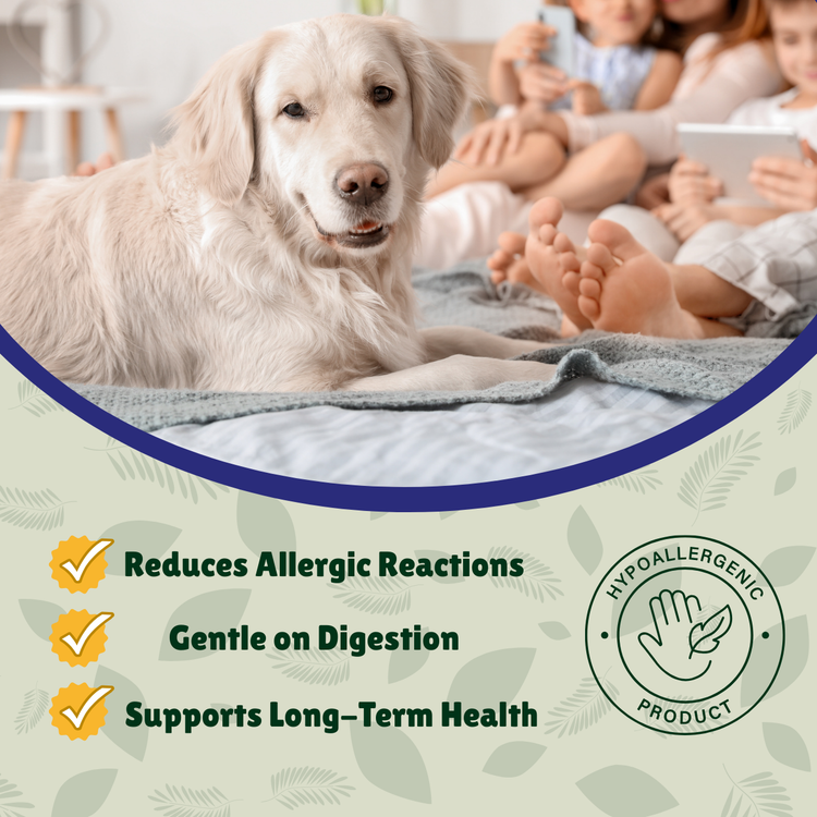 Hypoallergenic Treats