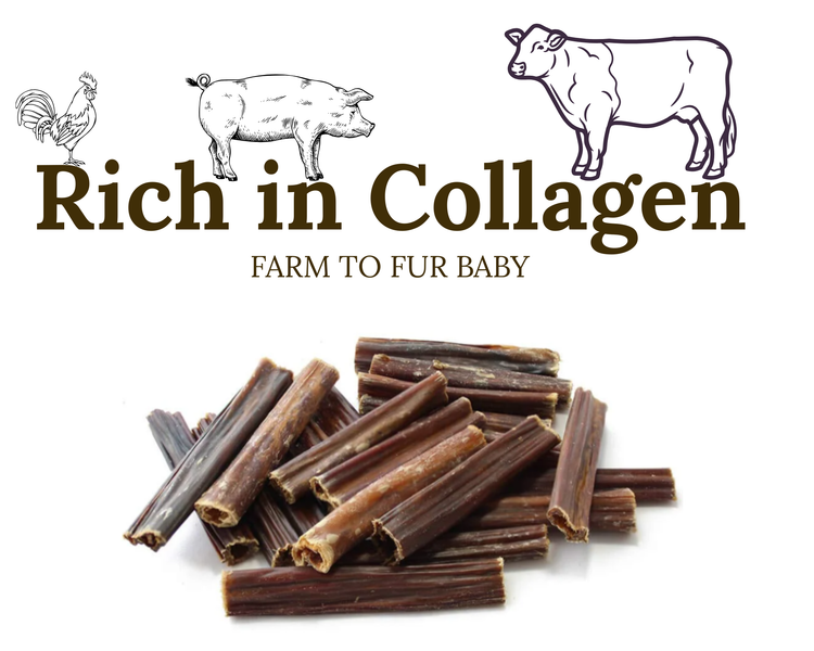 Collagen Boosting Treats