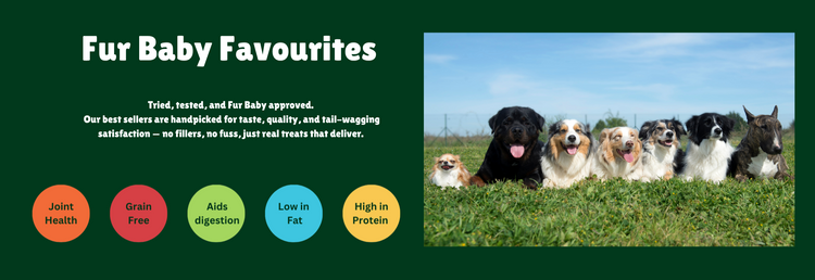 Fur Baby Favourites