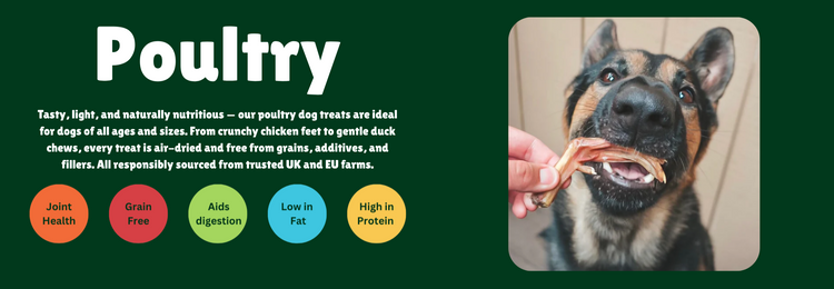 Poultry Treat