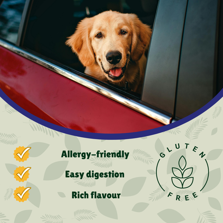 Gluten Free Treats