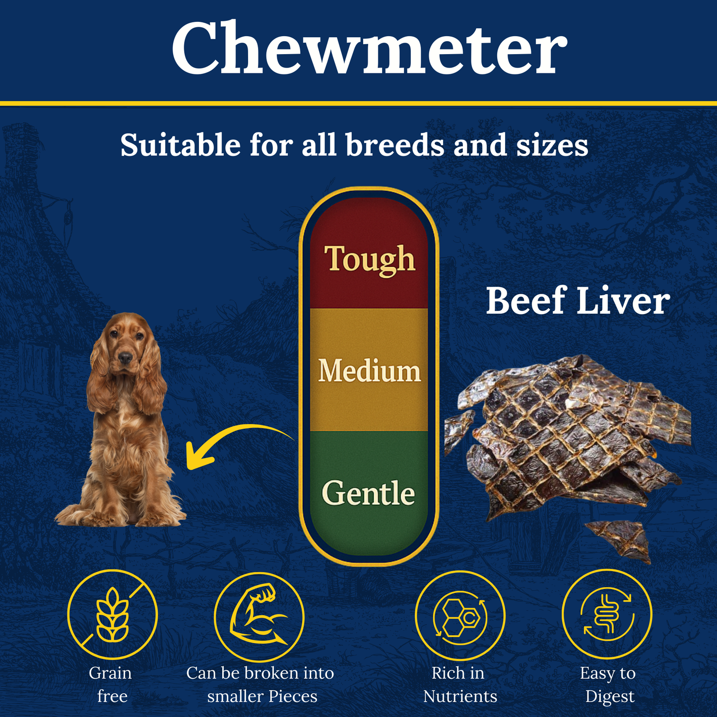 Air-Dried Beef Liver – Natural Nutrient-Rich Dog Treats