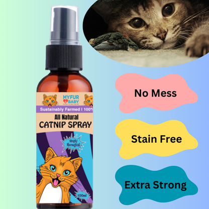 All Natural Catnip Spray