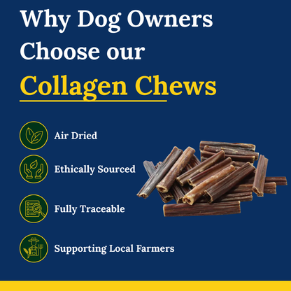 Beef Collagen Sticks – Natural Beef Gullet