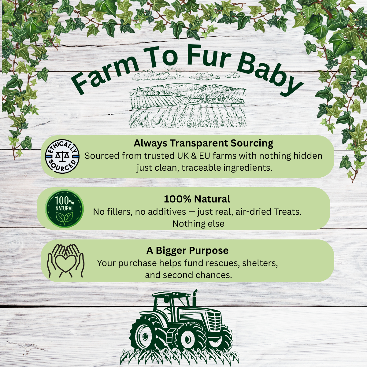 Natural Rabbit Feet – Hairy Chew for Dogs
