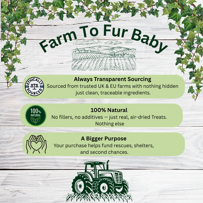 Natural Rabbit Feet – Hairy Chew for Dogs