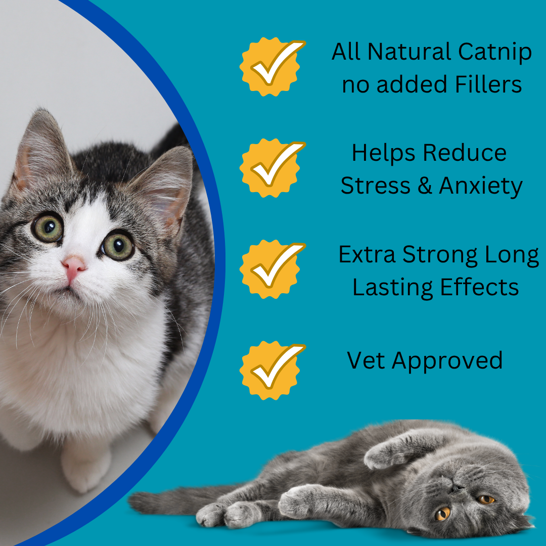 All Natural Catnip Spray