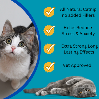 All Natural Catnip Spray