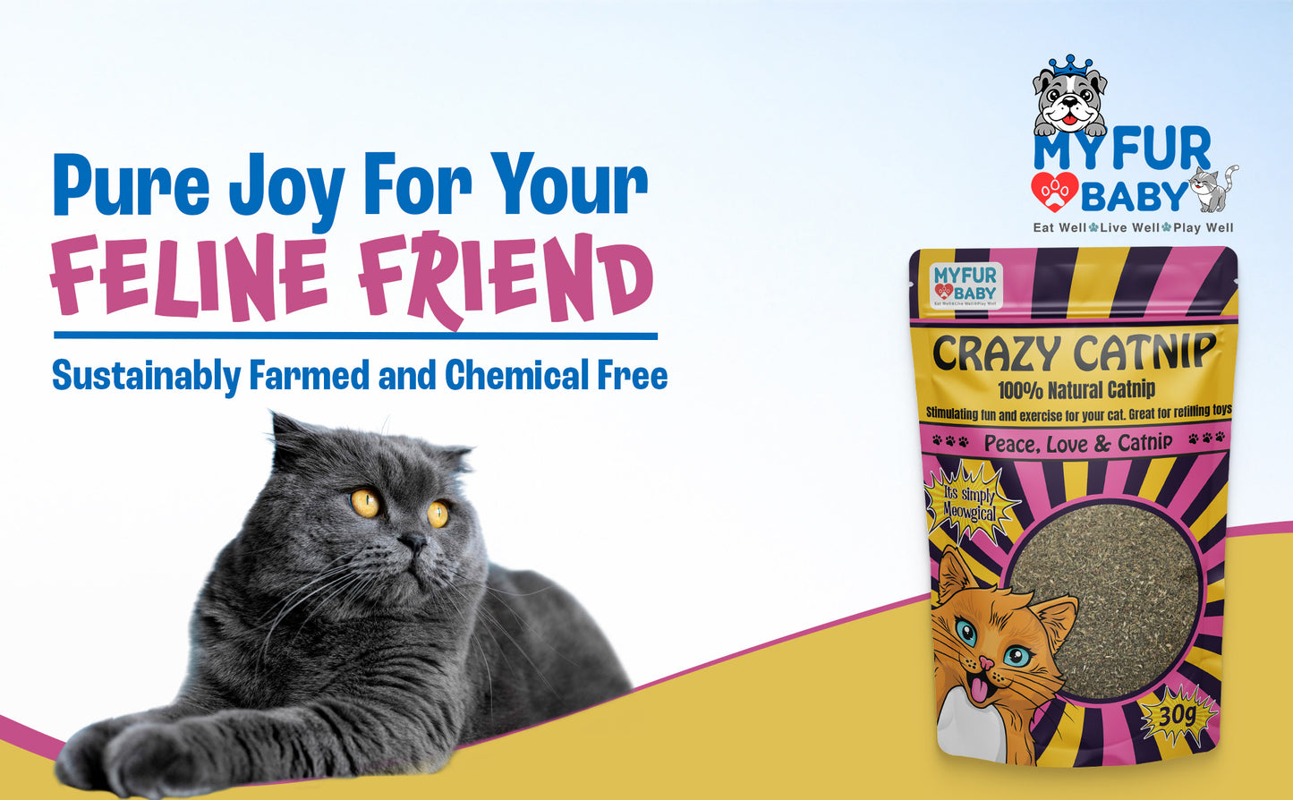 Crazy Catnip