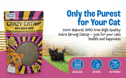 Crazy Catnip