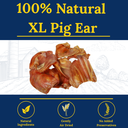 My Fur Baby XL Pig Ears