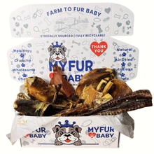 My Fur Baby Extreme Chewer Box