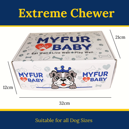 My Fur Baby Extreme Chewer Box