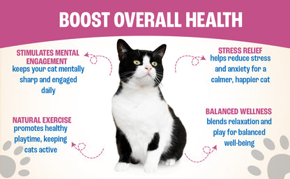 All Natural Catnip Spray