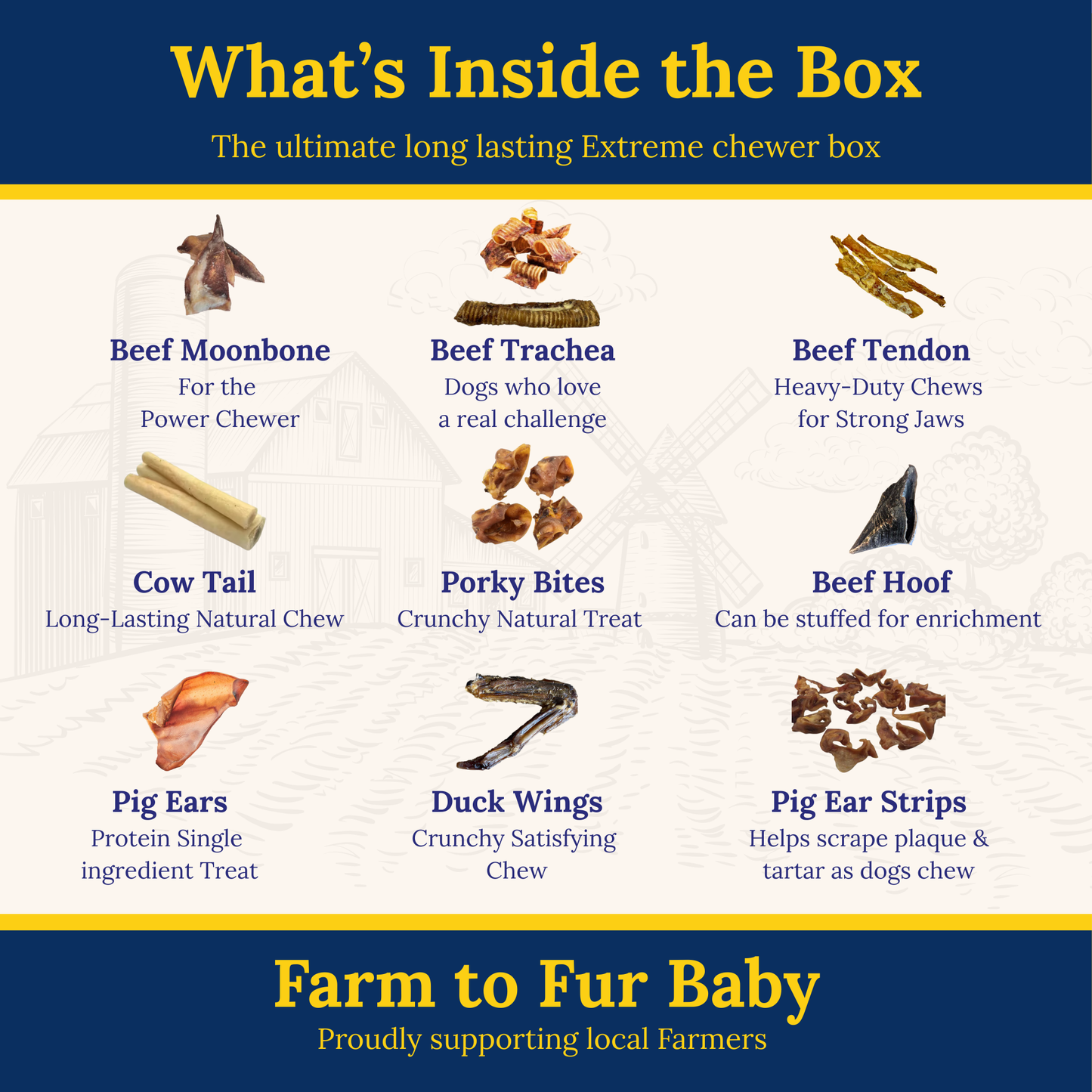 My Fur Baby Extreme Chewer Box