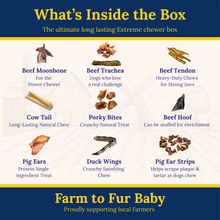My Fur Baby Extreme Chewer Box