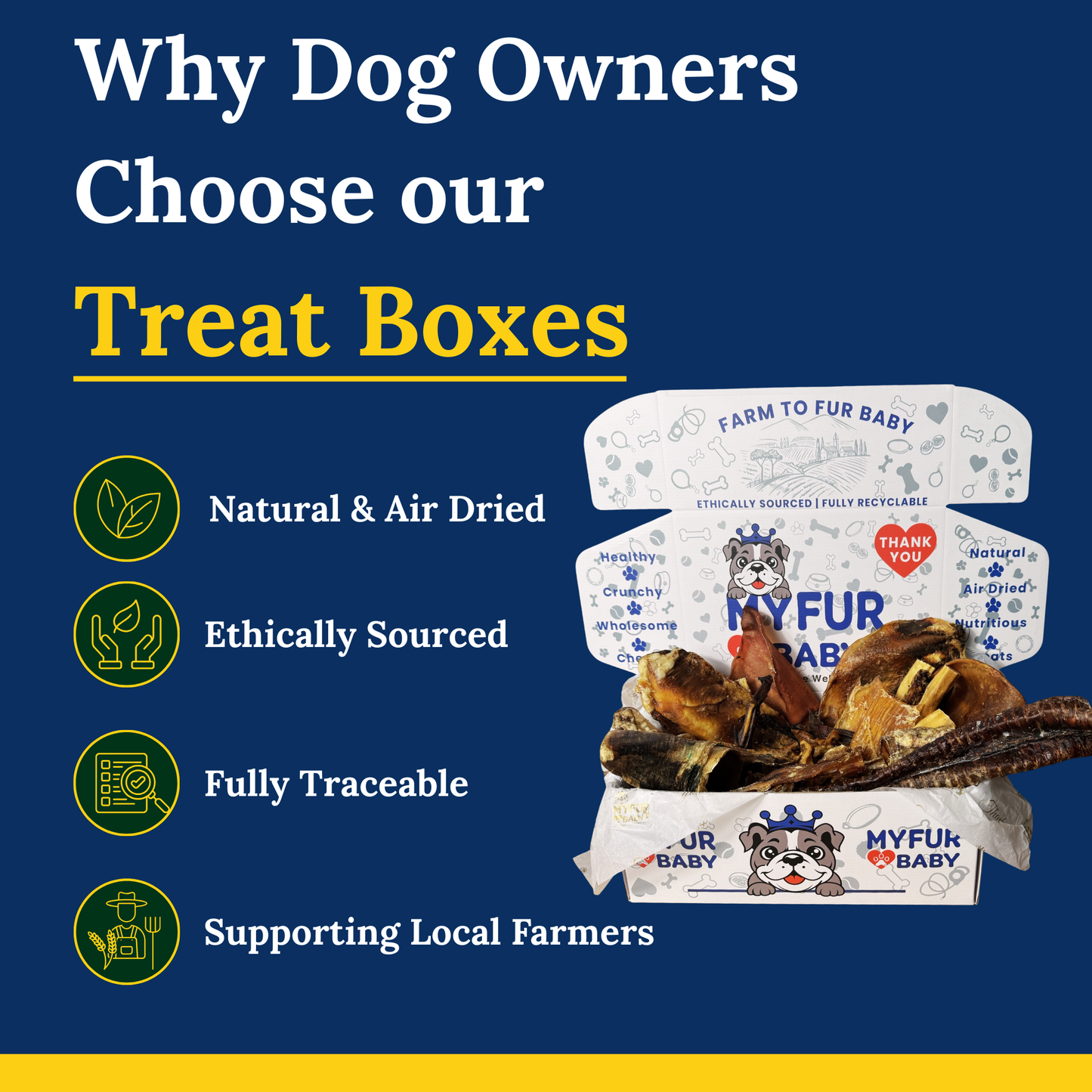 My Fur Baby Extreme Chewer Box