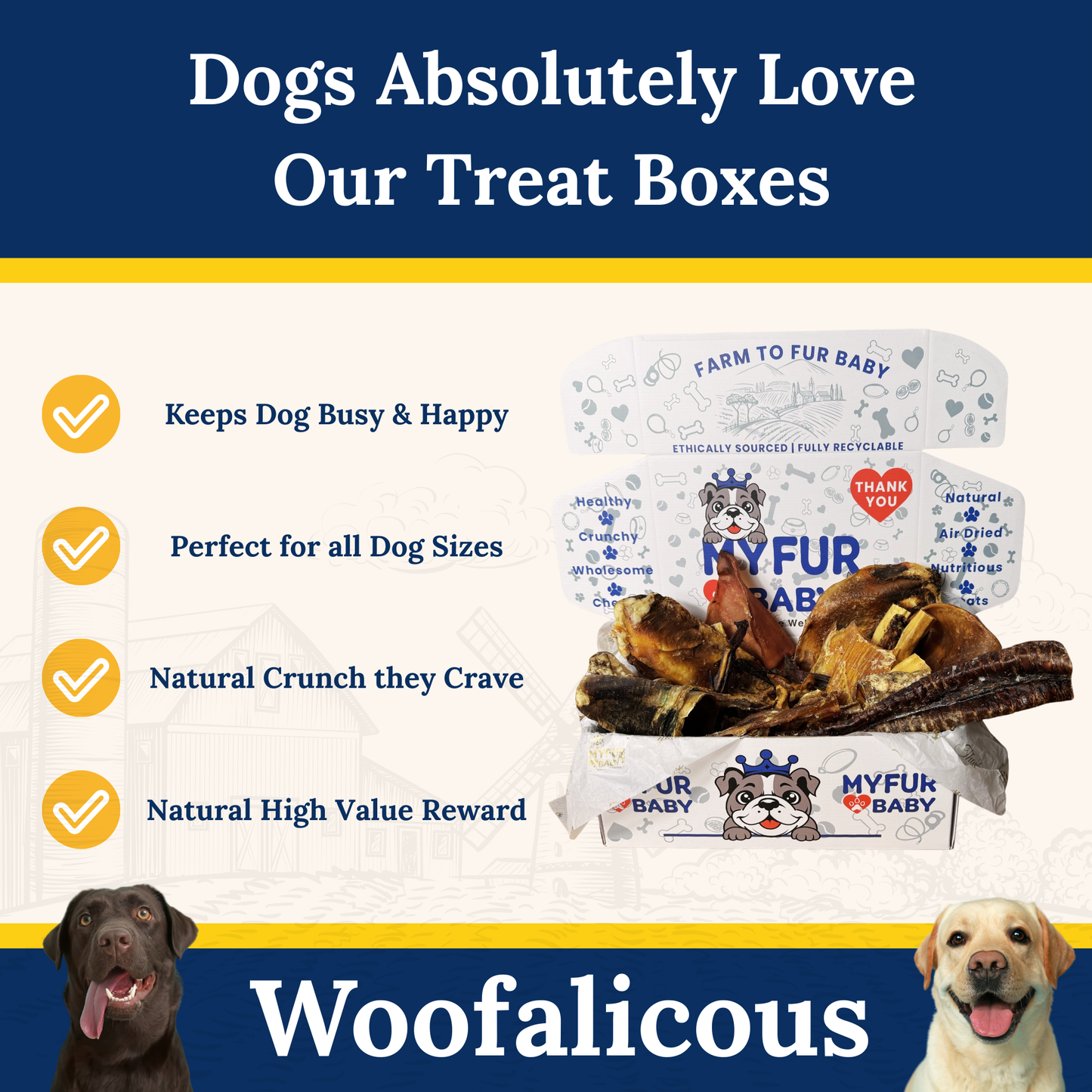 My Fur Baby Extreme Chewer Box