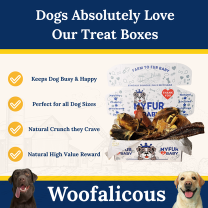 My Fur Baby Extreme Chewer Box