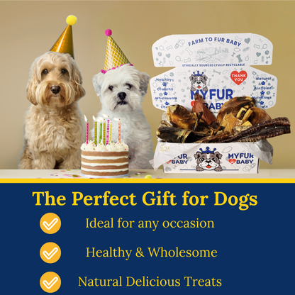 My Fur Baby Extreme Chewer Box