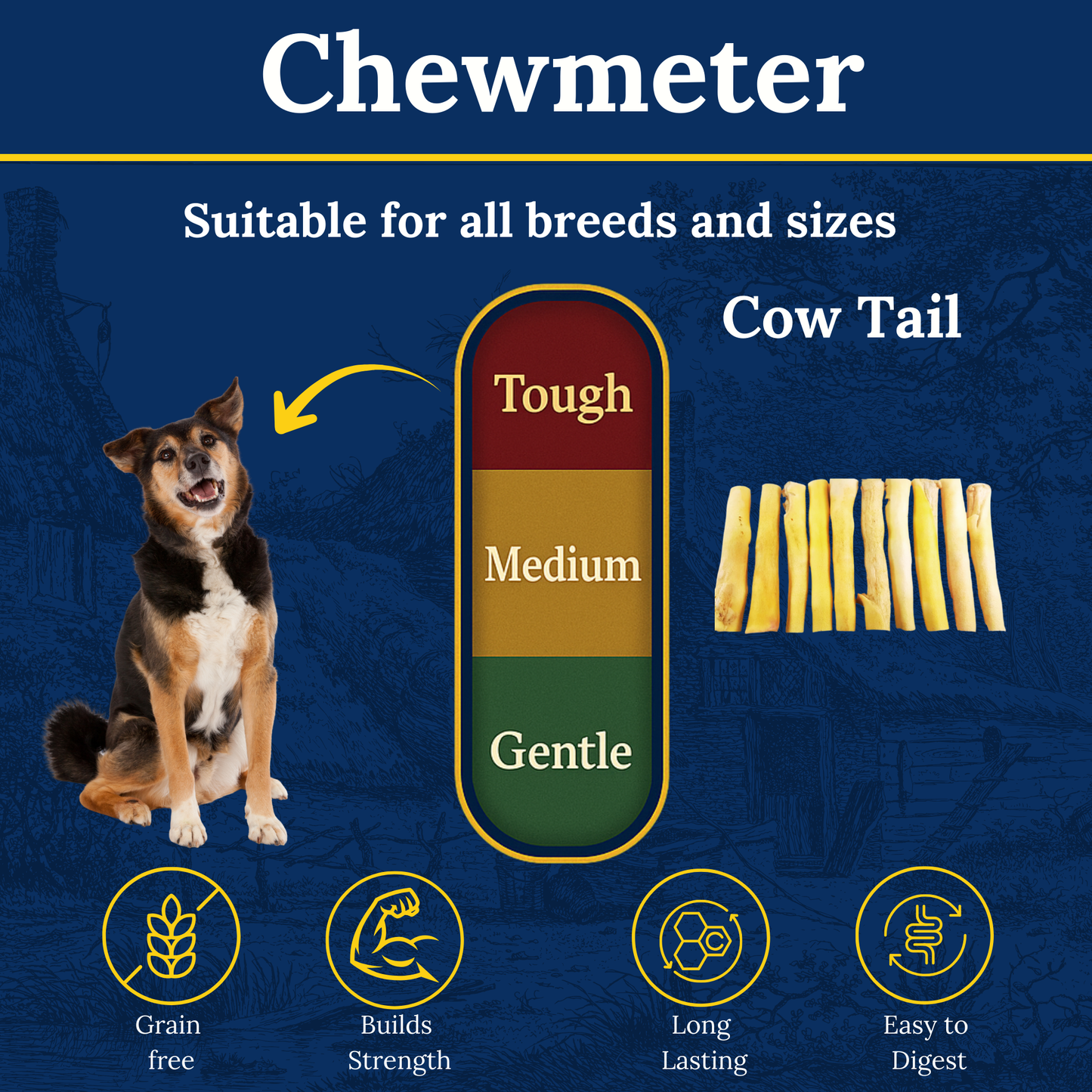 Cow Tail – Long-Lasting Beef Chew for Dogs