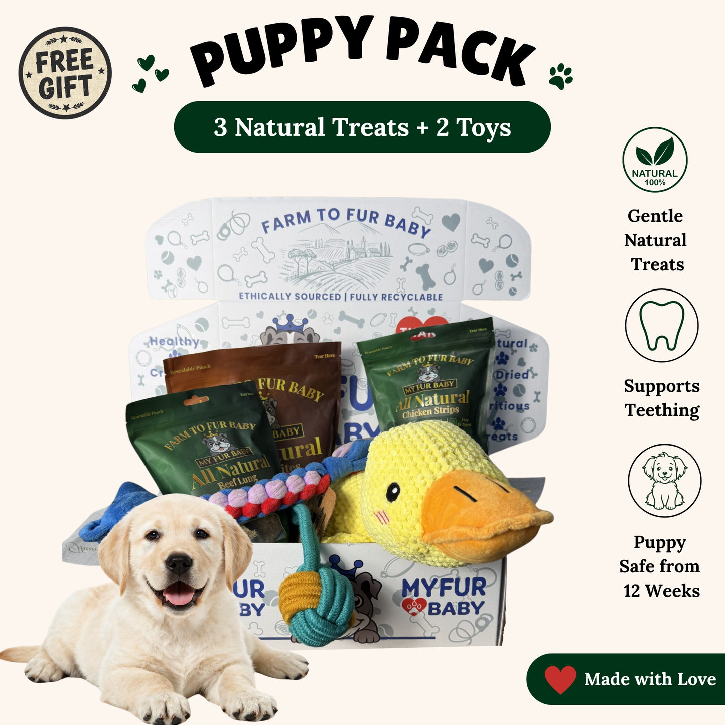 The Monthly Puppy Treat Box ( Free Shipping at Checkout )