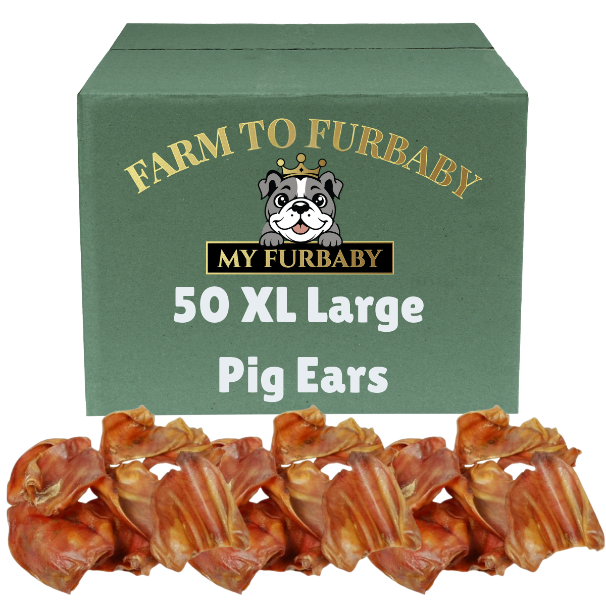 Large Pig Ears