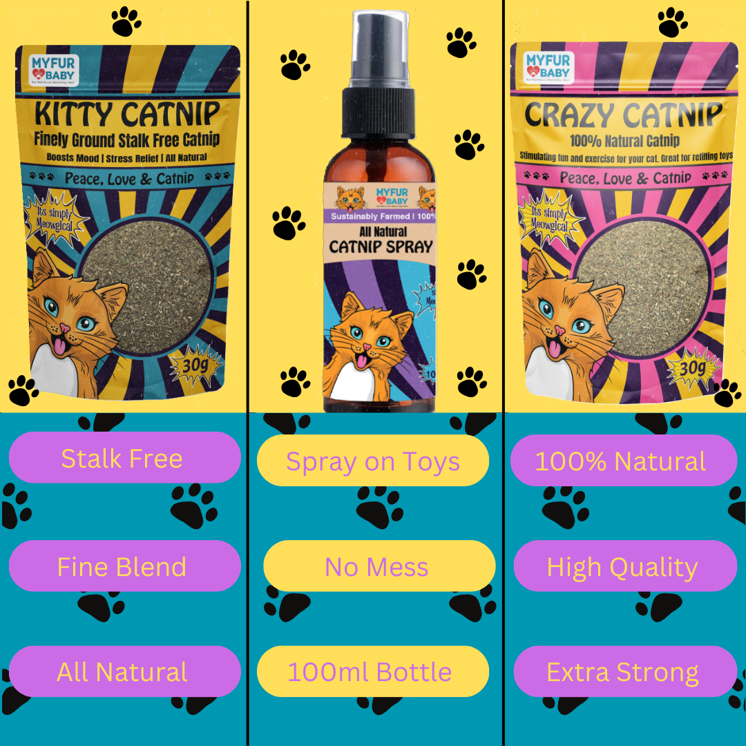 All Natural Catnip Spray