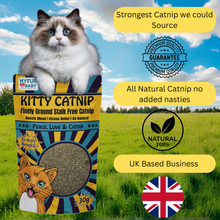 Finely Ground Kitty Catnip