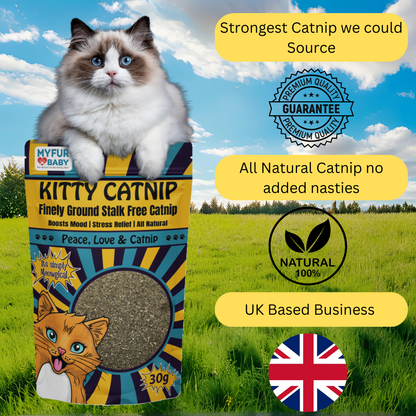 Finely Ground Kitty Catnip