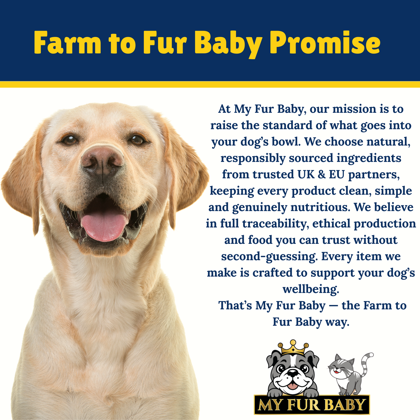 Cow Tail – Long-Lasting Beef Chew for Dogs