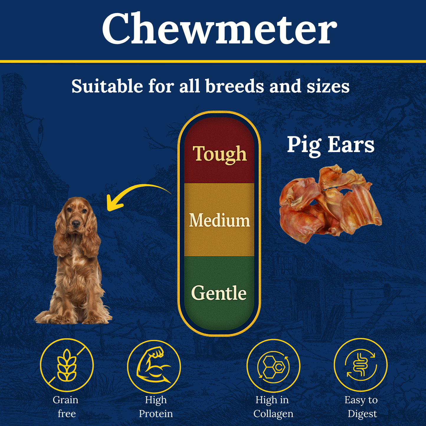 My Fur Baby XL Pig Ears