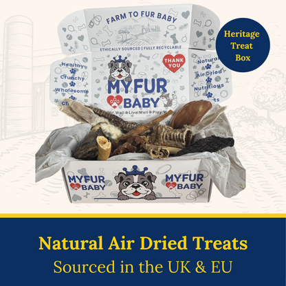 My Fur Baby Heritage Treat Box