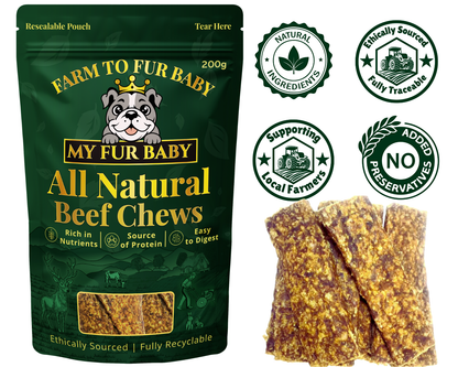 Natural Air-Dried Beef Meat Strips