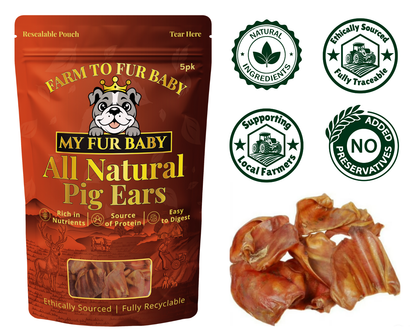Large Pig Ears