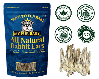 Hairy Rabbit Ears