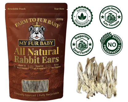 Hairy Rabbit Ears