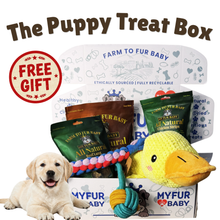 The Monthly Puppy Treat Box ( Free Shipping at Checkout )