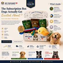 Monthly Treat Box