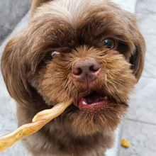Beef Tendon Long-Lasting Natural Chew