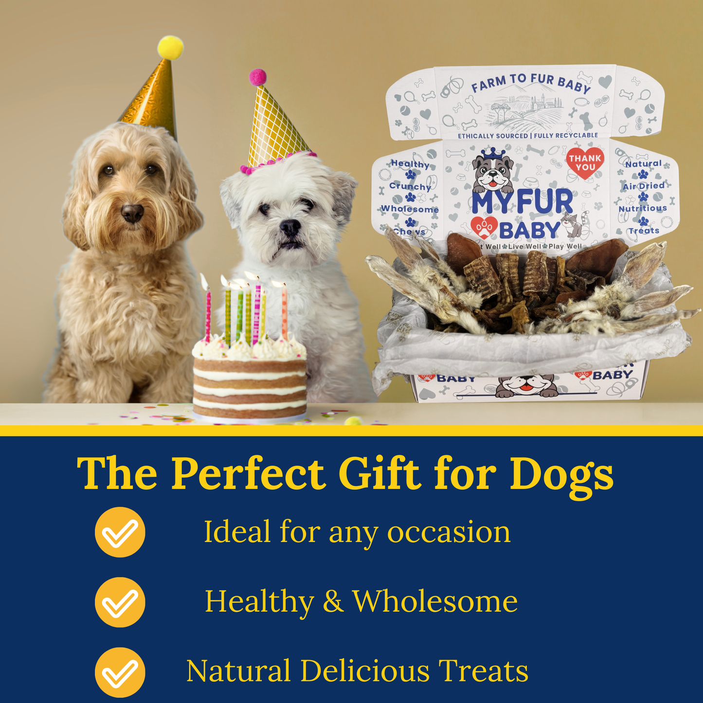 The Monthly Puppy Treat Box ( Free Shipping at Checkout )