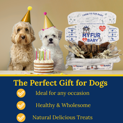 The Monthly Puppy Treat Box ( Free Shipping at Checkout )