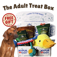 The Monthly Adult Treat Box ( Free Shipping at Checkout )