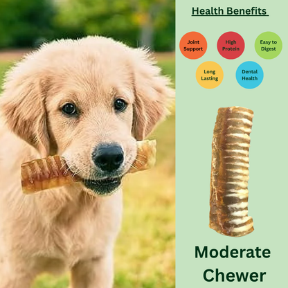 12cm Beef Trachea Natural Air-Dried Dog Chew