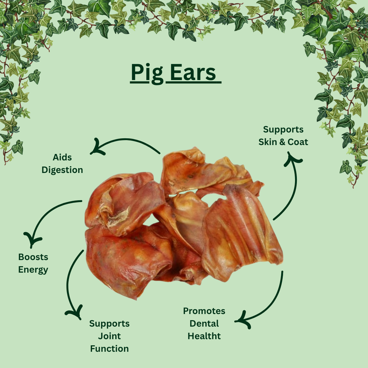 Large Pig Ears