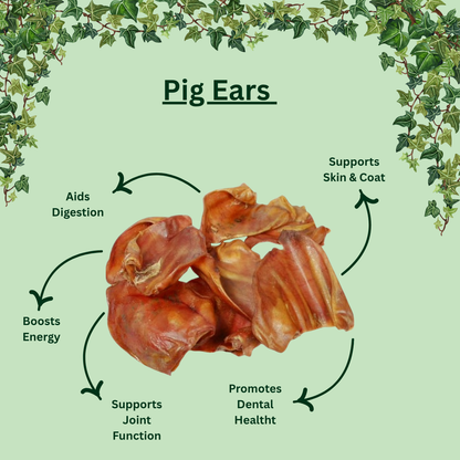 Large Pig Ears