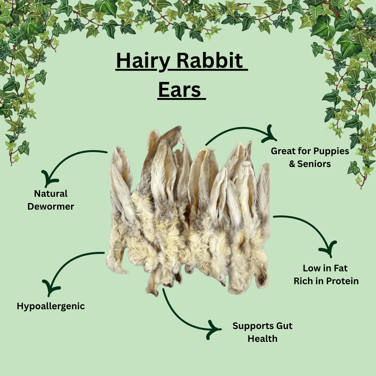 Hairy Rabbit Ears