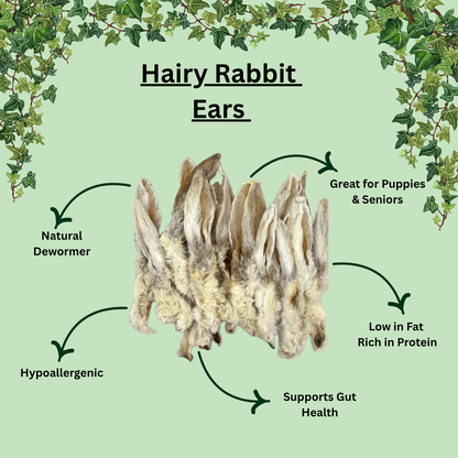 Hairy Rabbit Ears
