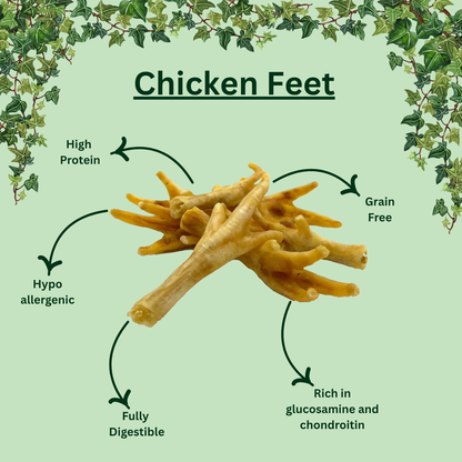 Air-Dried Chicken Feet – Natural Crunchy Chews for Dogs